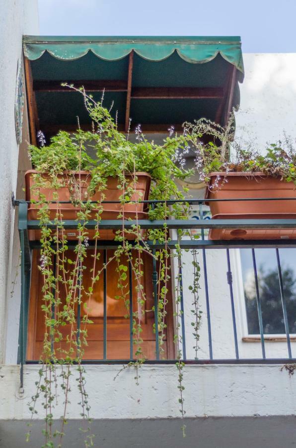 Garden Place Guest Houses Joanesburgo Exterior foto